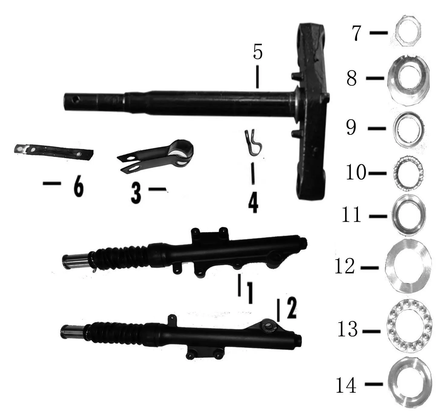 F17 - Dirección