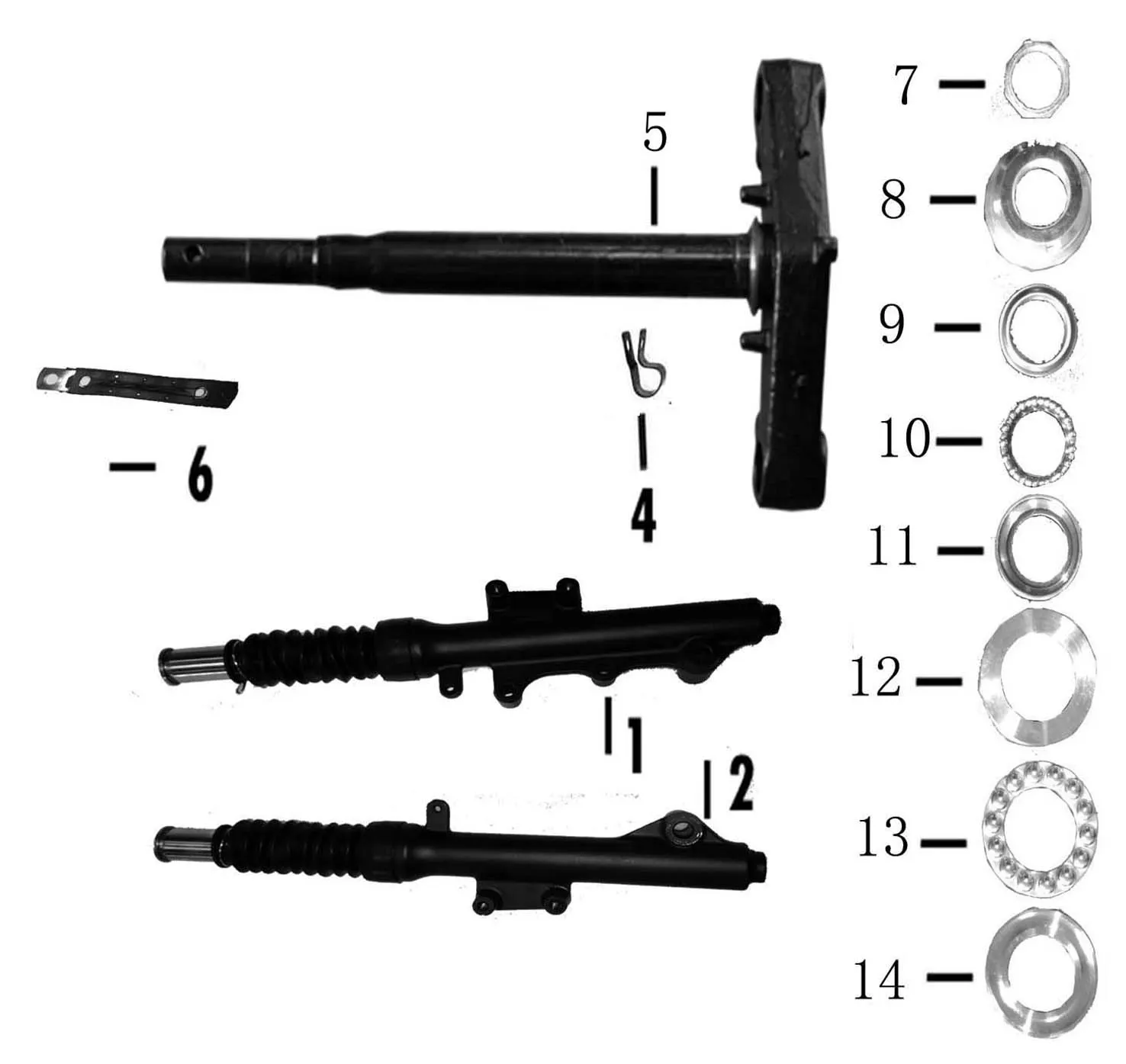 F17 - Dirección