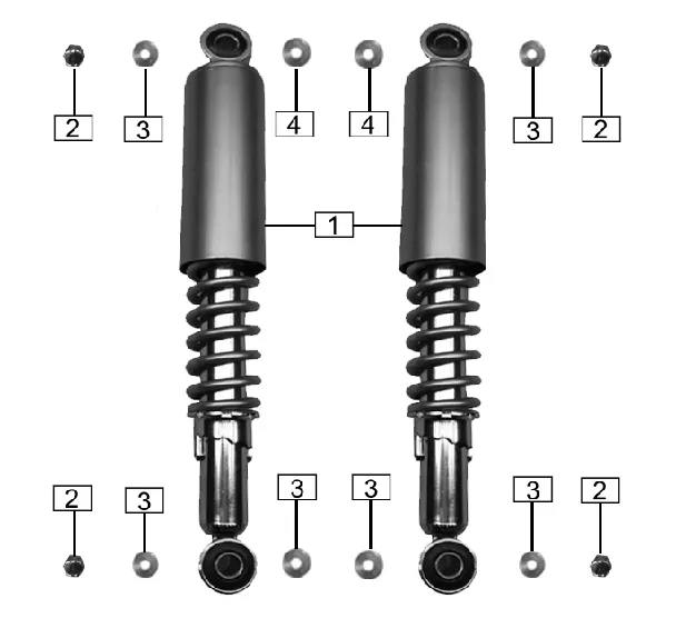 F19 - REAR ABSORBER